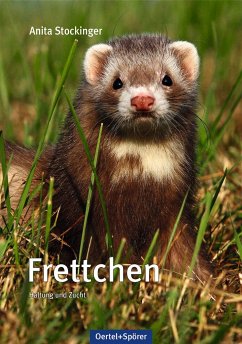 Frettchen - Stockinger, Anita