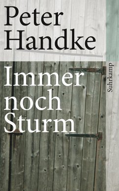 Immer noch Sturm - Handke, Peter