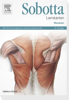 Sobotta Lernkarten Muskeln - Muskeln - mit Zugang zum Elsevier-Portal - Bräuer, Lars