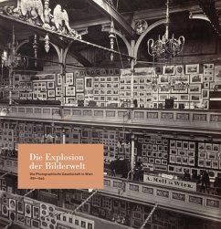 Cover Die Explosion der Bilderwelt