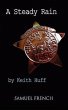 A Steady Rain - Bild 1