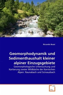 Geomorphodynamik und Sedimenthaushalt kleiner alpiner Einzugsgebiete - Buzzi, Riccardo