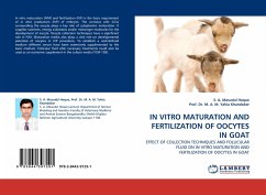 IN VITRO MATURATION AND FERTILIZATION OF OOCYTES IN GOAT