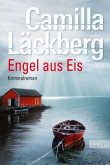 Engel aus Eis / Erica Falck & Patrik Hedström Bd.5
