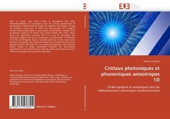 Cristaux photoniques et phononiques anisotropes 1D - Ouchani, Noama