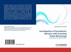 Investigation of ferroelectric domains with Scanning Probe Microscopy - Pacher Fernandes, Rodrigo