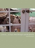 Love is...a dog's view through candid photos