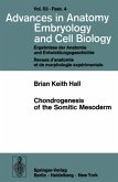 Chondrogenesis of the Somitic Mesoderm