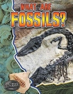 What Are Fossils? - Hyde, Natalie