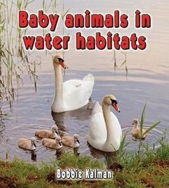 Baby Animals in Water Habitats - Kalman, Bobbie