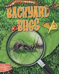 Backyard Bugs - Spilsbury, Louise A.