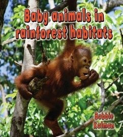 Baby Animals in Rainforest Habitats - Kalman, Bobbie