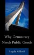 Why Democracy Needs Public Goods - Bild 1