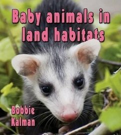Baby Animals in Land Habitats - Kalman, Bobbie