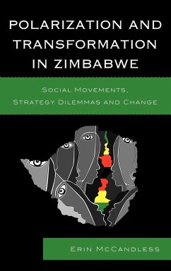 Polarization and Transformation in Zimbabwe - McCandless, Erin