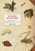 The Insect and the Image