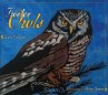 Twelve Owls - Bild 1