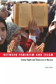 Between Feminism and Islam