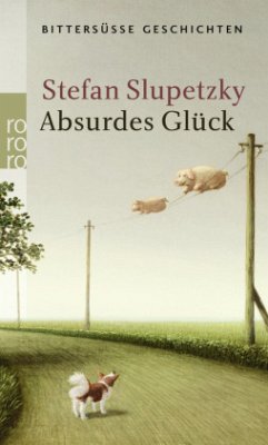 Absurdes Glück - Slupetzky, Stefan