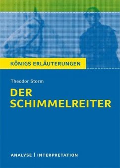 Der Schimmelreiter. Textanalyse und Interpretation - Storm, Theodor