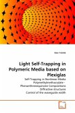 Light Self-Trapping in Polymeric Media based on Plexiglas