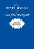 The Development of Drosophila Melanogaster The Development of Drosophila Melanogaster