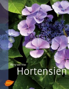 Hortensien - Van Trier, Harry