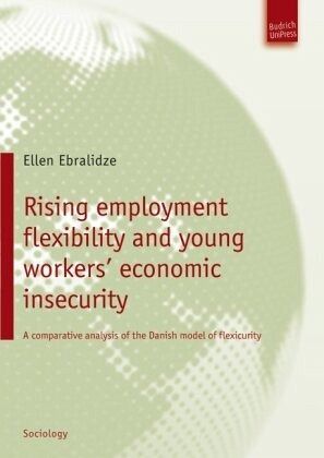 Rising employment flexibility and young workers' economic insecurity Rising employment flexibility and young workers' economic insecurity