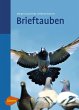 Brieftauben - Bild 1