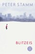 Blitzeis - Bild 1