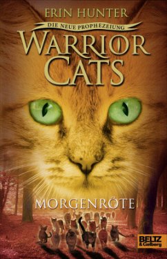 Morgenröte / Warrior Cats Staffel 2 Bd.3 - Hunter, Erin