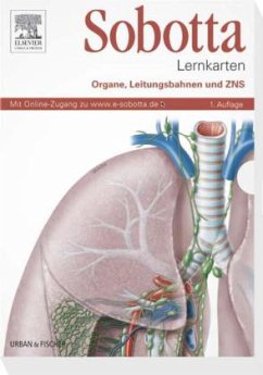 Organe, Leitungsbahnen und ZNS, 137 Lernkarten / Sobotta Lernkarten - Bräuer, Lars