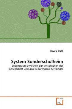 System Sonderschulheim - Wolff, Claudia