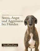 Stress, Angst und Aggression bei Hunden