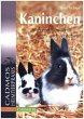 Kaninchen artgerecht halten, pflegen... - Bild 1