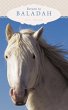 Return to Baladah - Bild 1