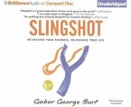 Slingshot: Re-Imagine Your Business, Re-Imagine Your Life