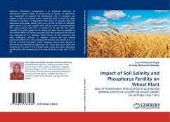 Impact of Soil Salinity and Phosphorus Fertility on Wheat Plant