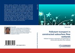 Pollutant transport in constructed subsurface flow wetlands
