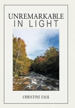 Unremarkable in Light - Falk, Christine