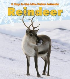 Reindeer - Marsico, Katie