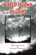 A SPLIT SECOND OF LIGHT - Bild 1