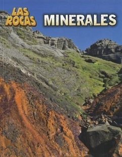 Minerales = Minerals - Spilsbury, Louise