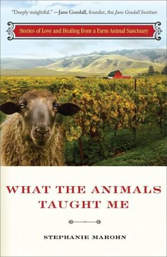 What the Animals Taught Me - Marohn, Stephanie