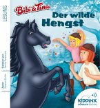 Bibi und Tina, Der Wilde Hengst