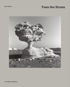 Cover Trees as well as Stones