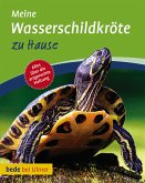 Meine Wasserschildkröte zu Hause