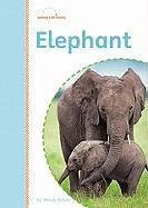 Elephant - Perkins, Wendy