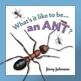 An Ant?