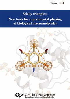 Sticky triangles: New tools for experimental phasing of biological macromolecules - Beck, Tobias